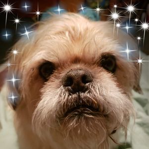 Meet your Posher, Cassie